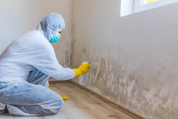 Licensed Mold Cleanup service in Parksley, VA - WQB Mold Removal
