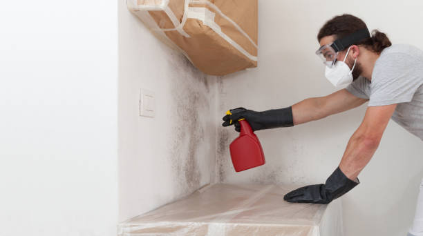 Professional Mold Cleanup technician working in Parksley, VA