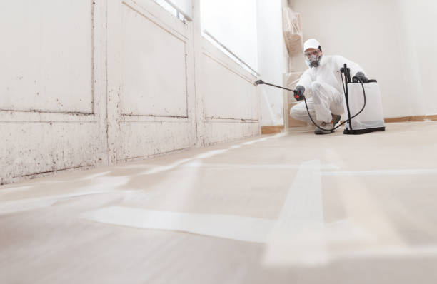 24/7 Emergency Mold Cleanup experts in Parksley, VA