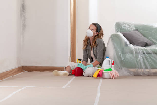Reliable Mold Cleanup contractor in Parksley, VA by WQB Mold Removal